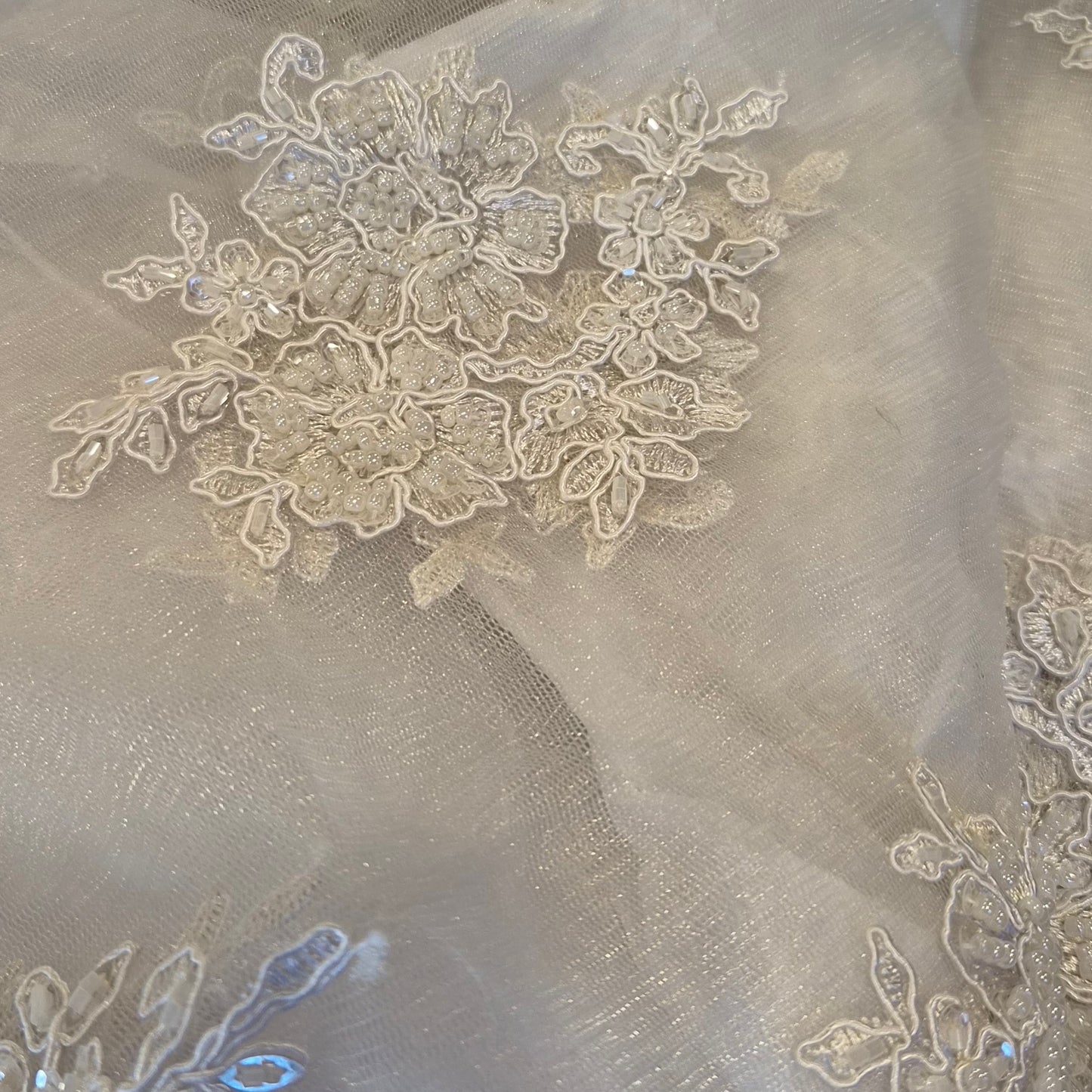 2m Ivory beaded and seqin corded lace