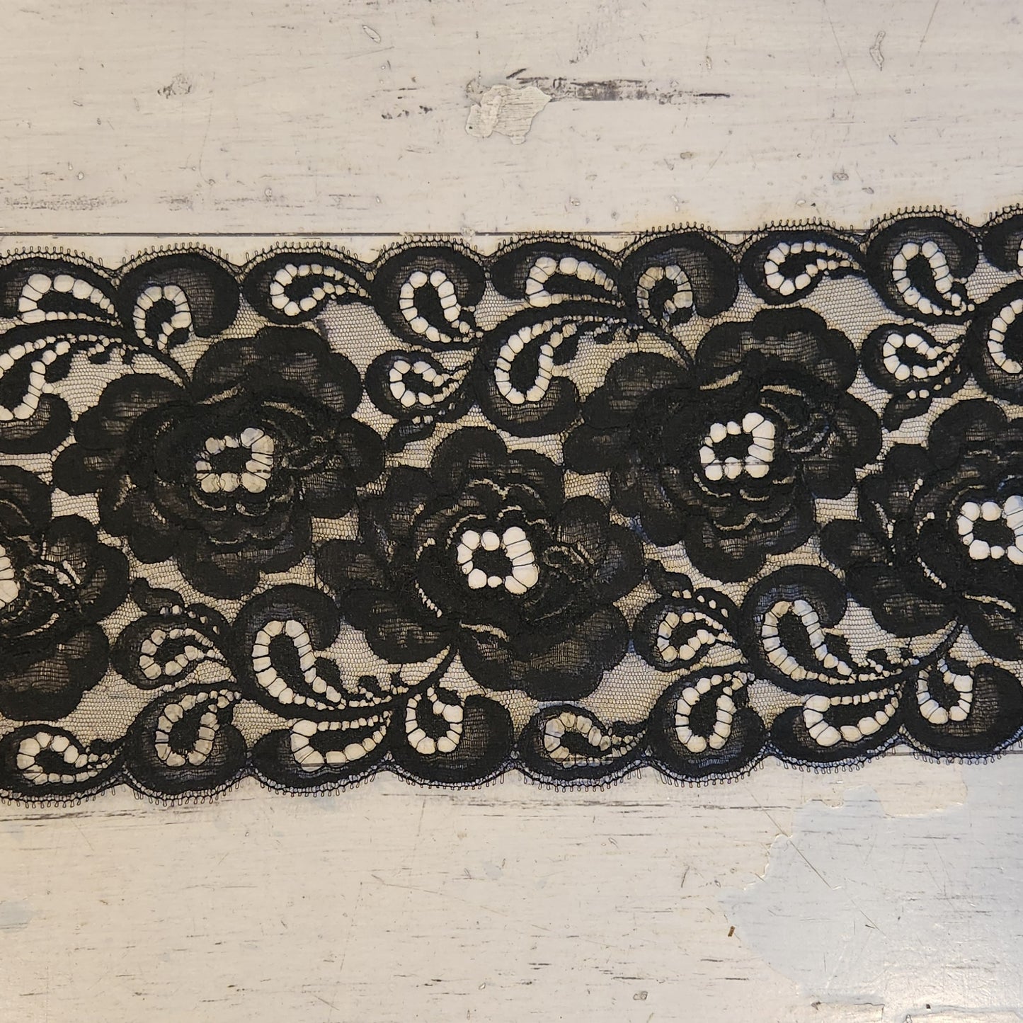 Shelly lace